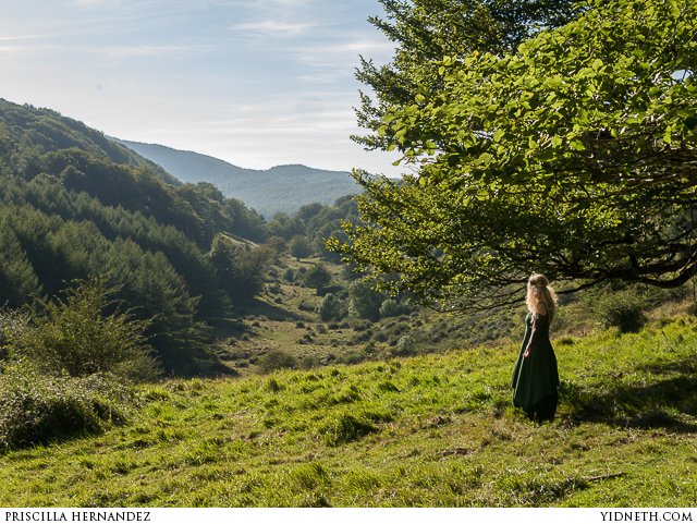 The green Valley of Ata Navarre Spain and Roldan s stone